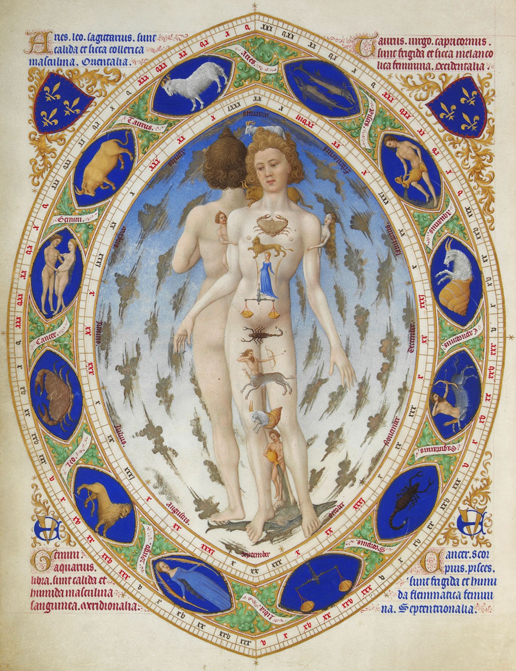 Les Très Riches Heures du duc de Berry – L’Homme anatomique, ou Homme zodiacal, XVe s. Chantilly