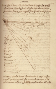 codice-urbinate – Leonardo da Vinci, Trattato di Pittura, 219v, Codice Vaticano Urbinate Lat. 1270, Biblioteca Apostolica Vaticana.