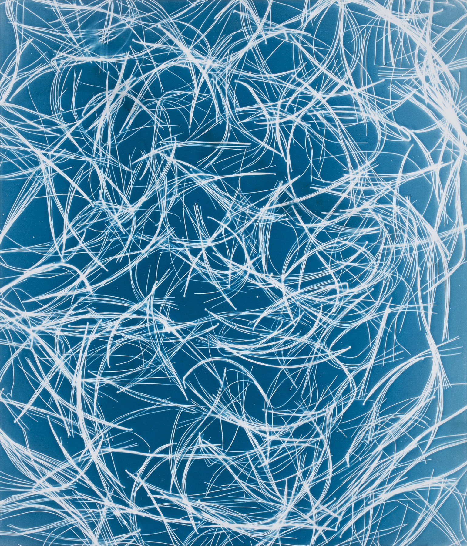 Véronique Arnold, Écriture lumineuse, 2019  Cyanotype on canvas  76 x 56 cm