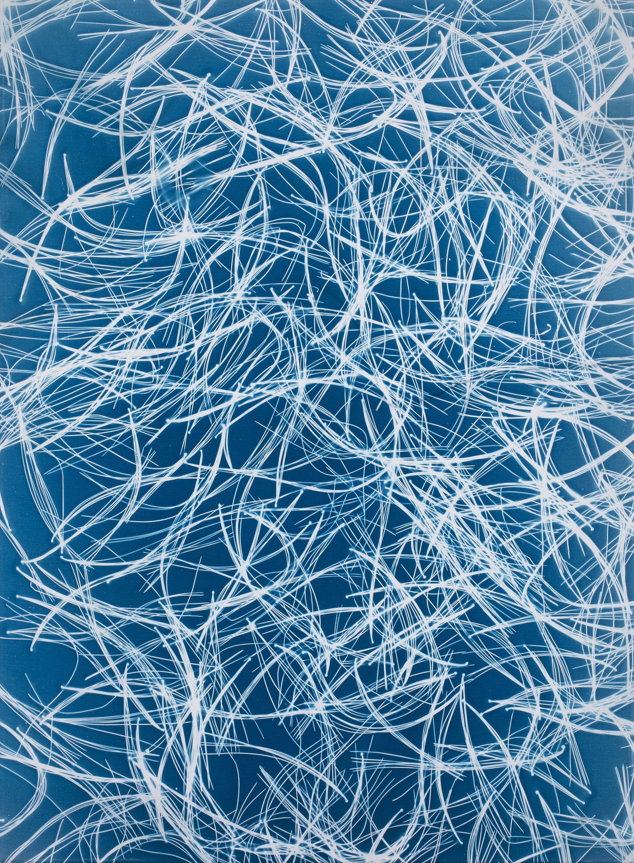 Véronique Arnold, Écriture lumineuse, 2019  Cyanotype on canvas 70 x 80 cm