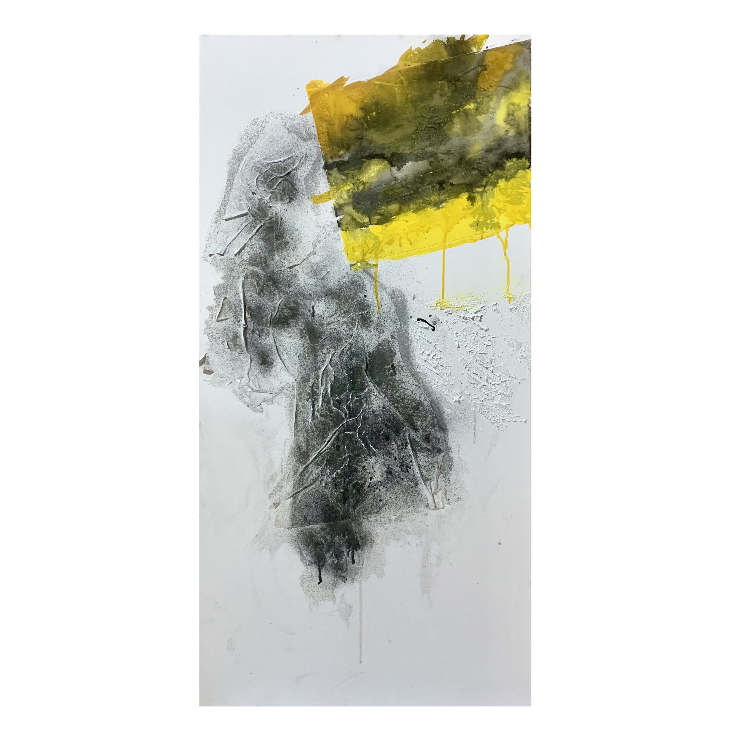 1Feng Gao_Hallucination_Mixed media_ 50x100cm_ 2020