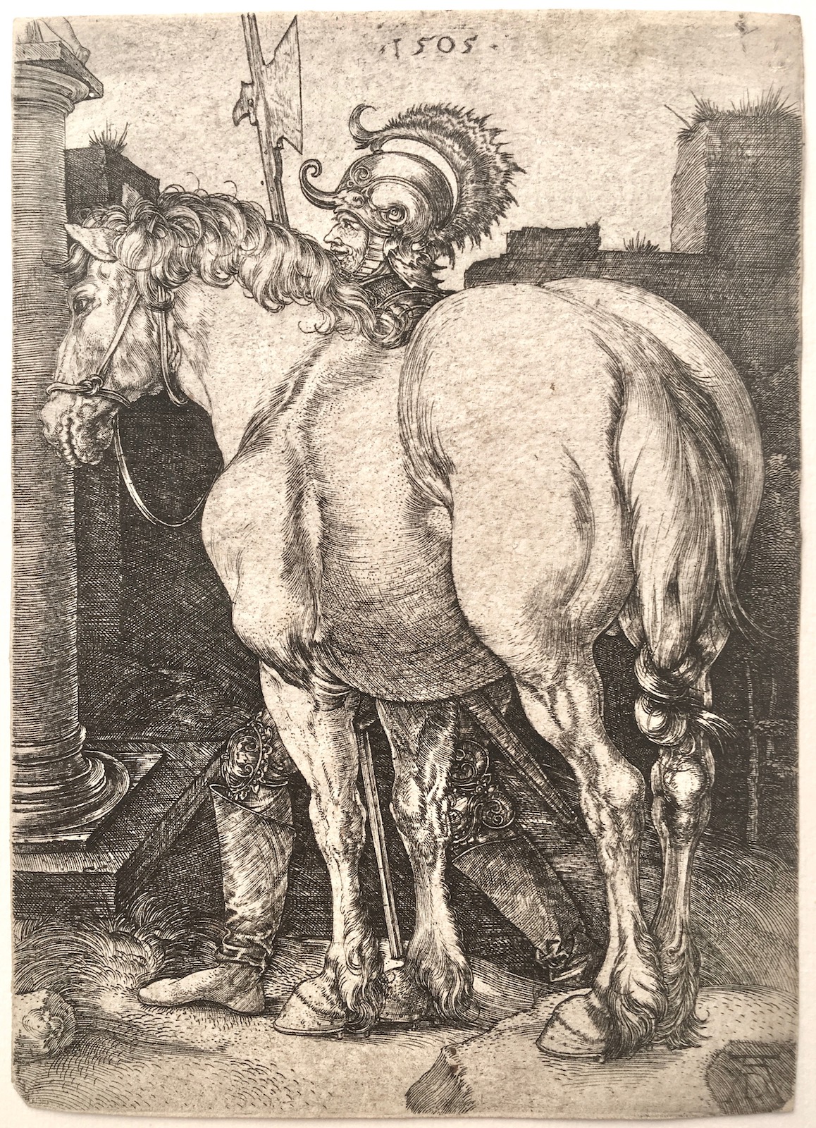 7003_Dürer_Grande Cavallo_mm 167 x 119