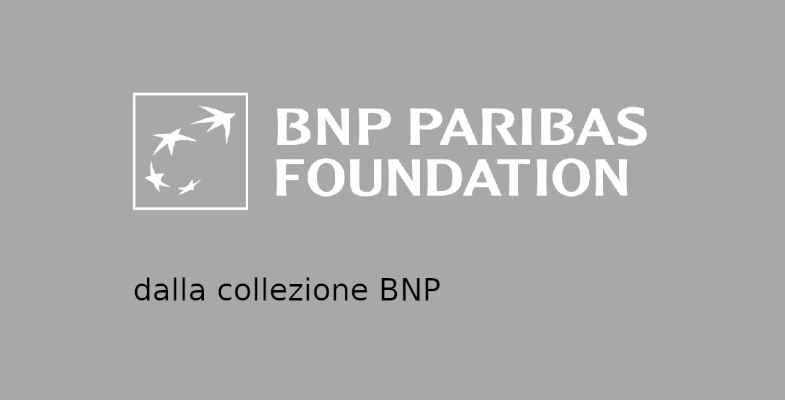bnp-foundation-1