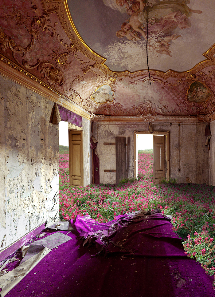 Flowers-on-purple-carpet-2022