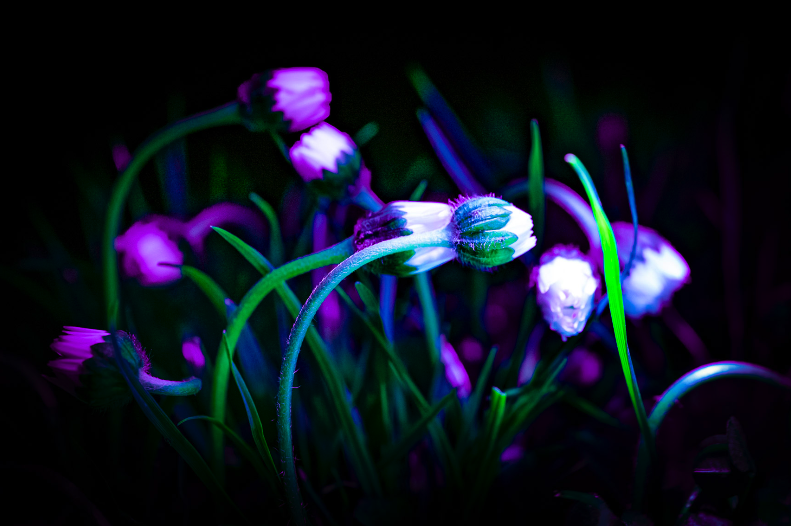 Schermata-2022-09-18-alle-15.45.40