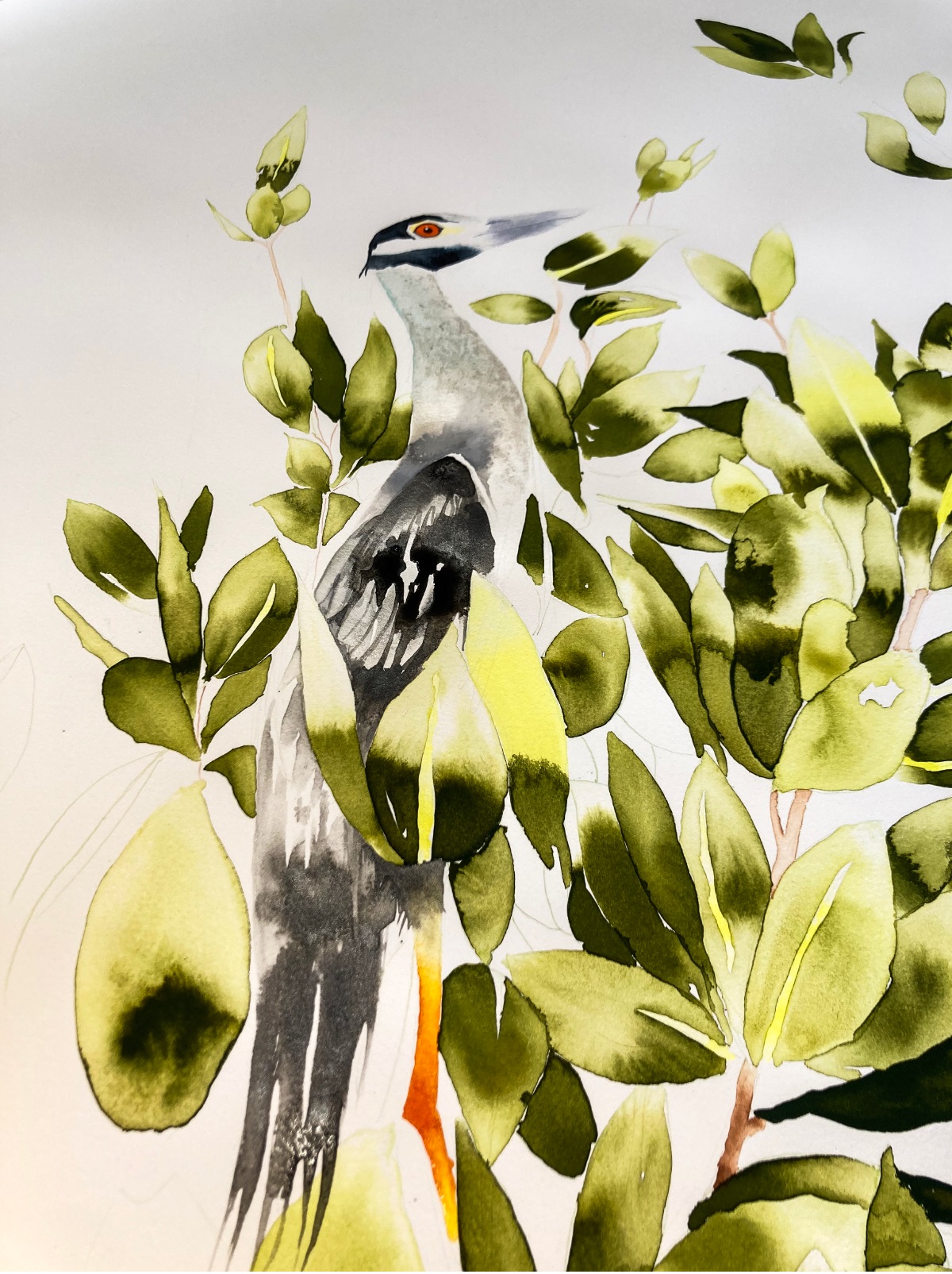 Eliche Donovan – Detail of Yellow Crested Night Heron – Japan-Paper – Ink Jean